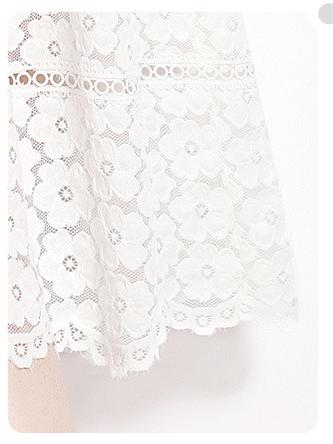 Elegant Slim Short Sleeve V-Neck Mid-Length Lace  Dress