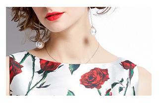Vintage Printed Dress
