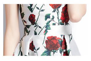 Vintage Printed Dress
