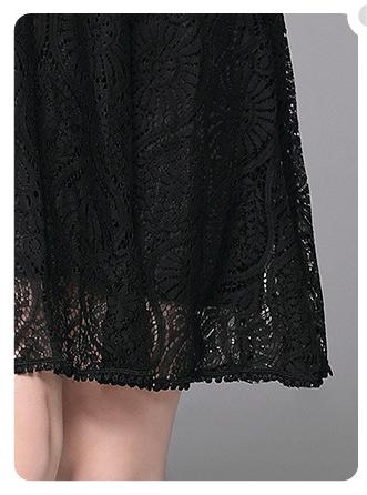 Lace V-Neck Dress